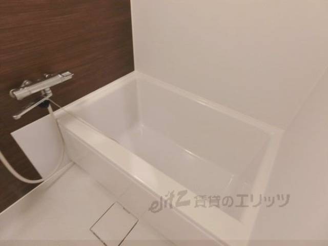 バス