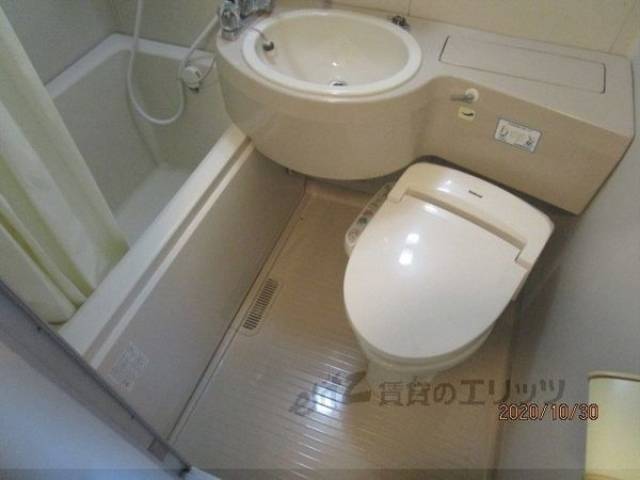 バス