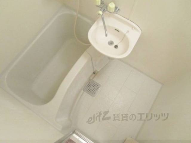 バス