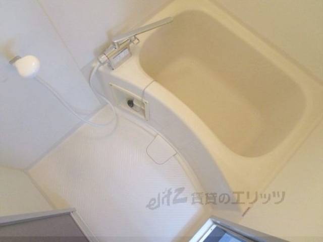 バス