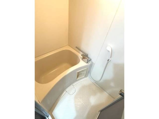 バス