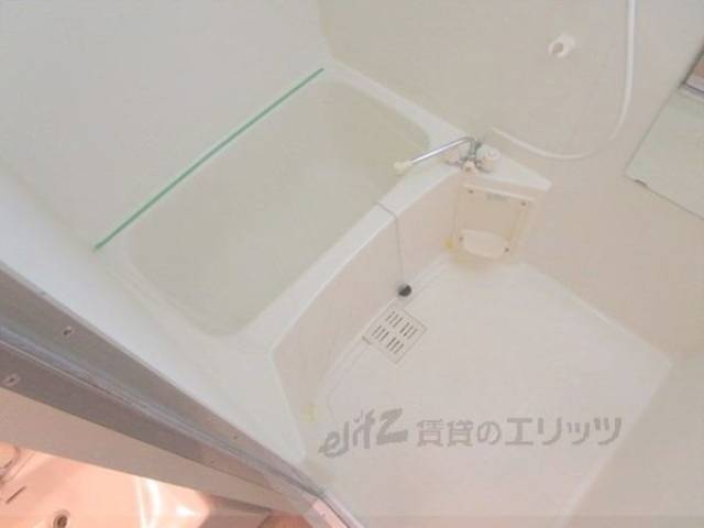 バス