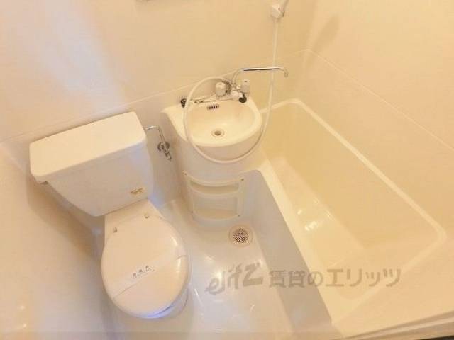 バス