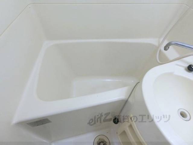 バス