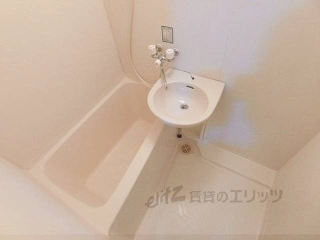 バス