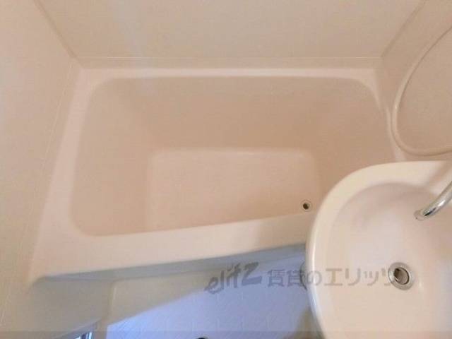 バス