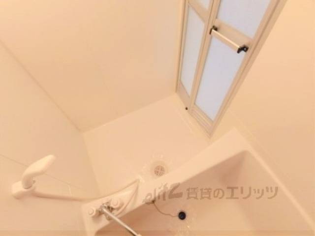 バス