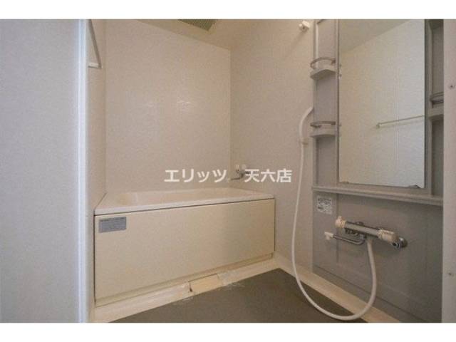 バス