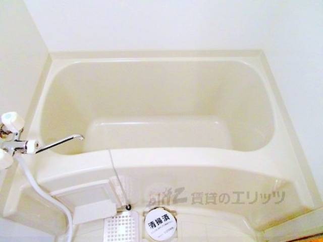 バス