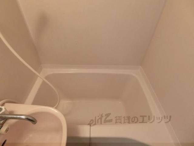 バス