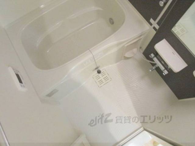 バス