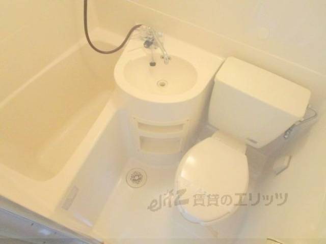 バス