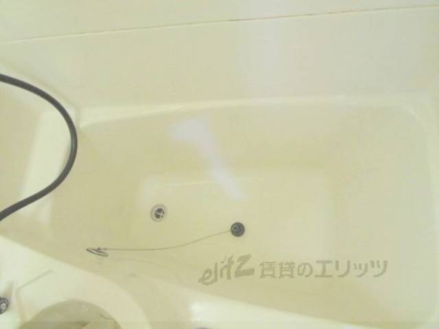 バス