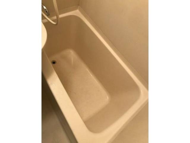 バス