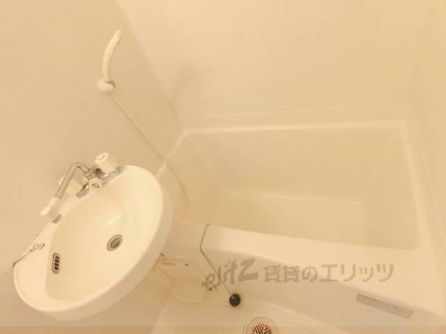 バス