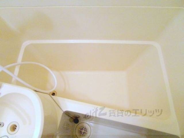 バス
