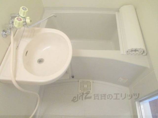 バス