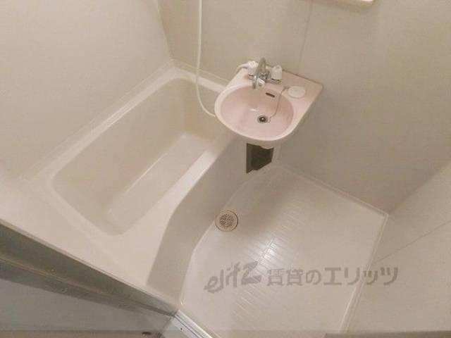 バス