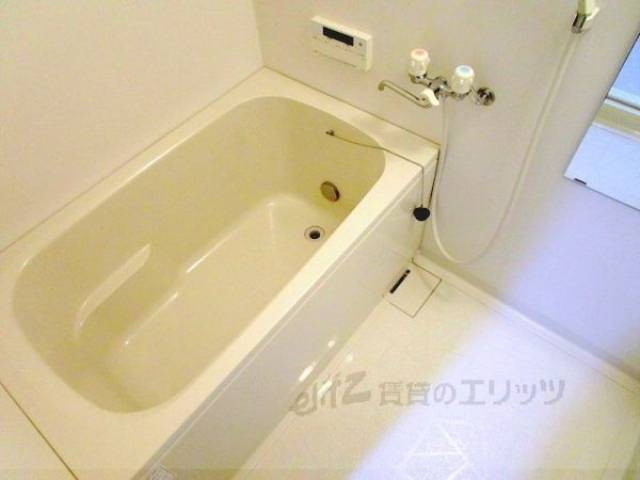 バス