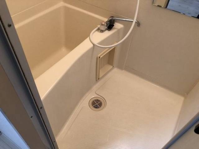 バス