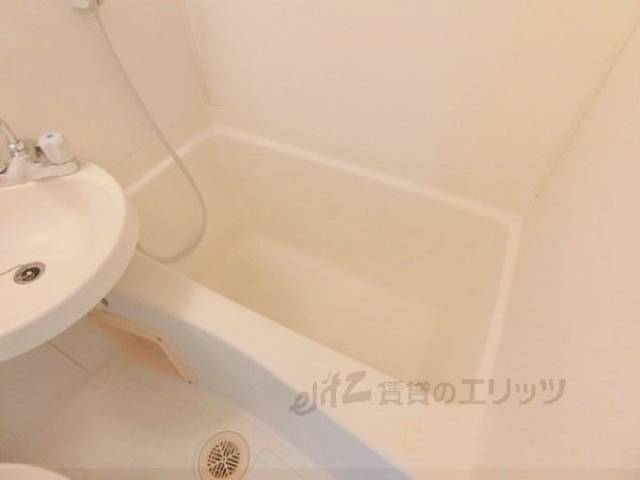 バス