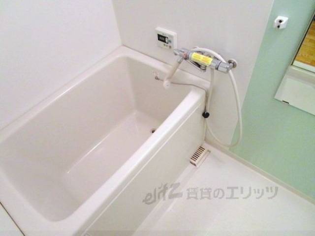 バス