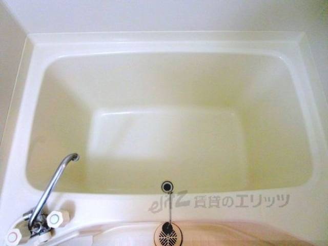 バス