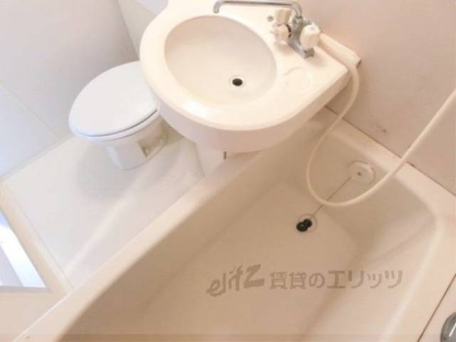 バス