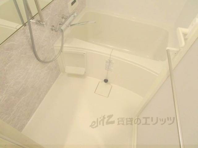バス