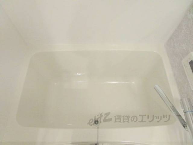 バス