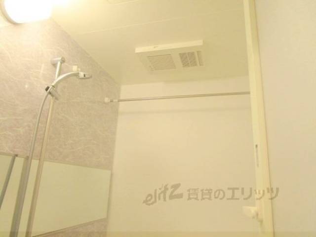 バス