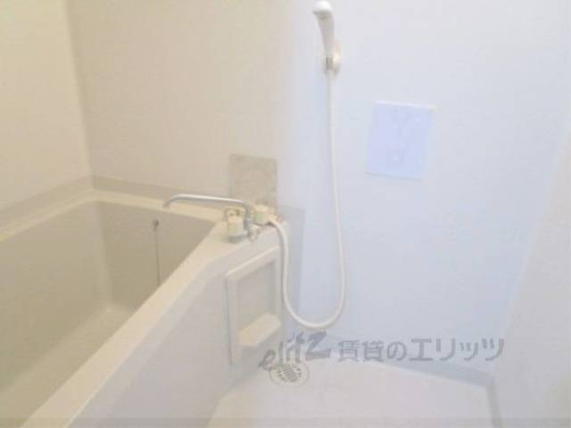 バス