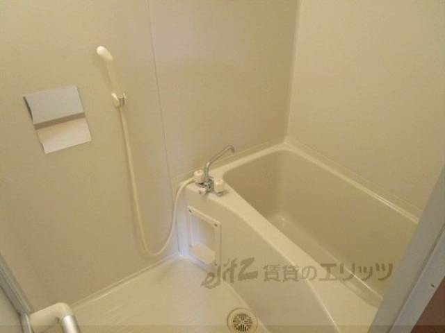 バス