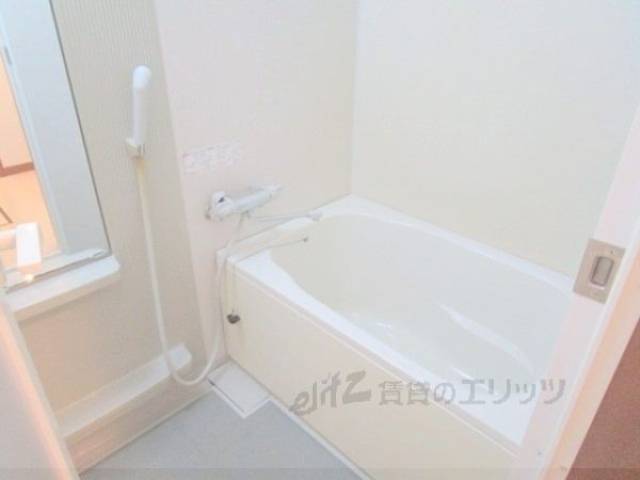バス
