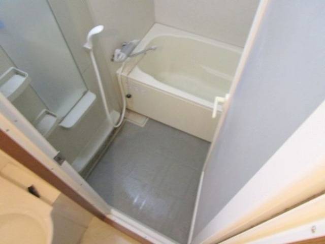 バス