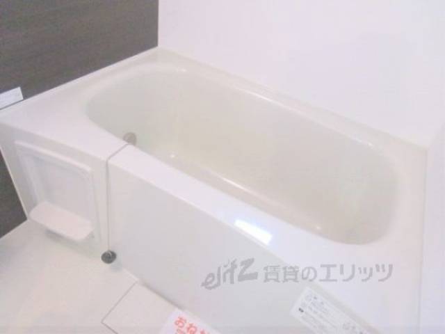バス