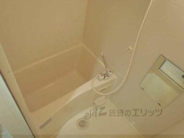 バス