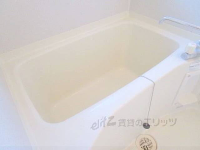 バス