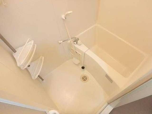 バス