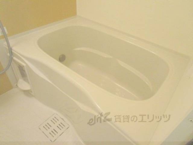 バス