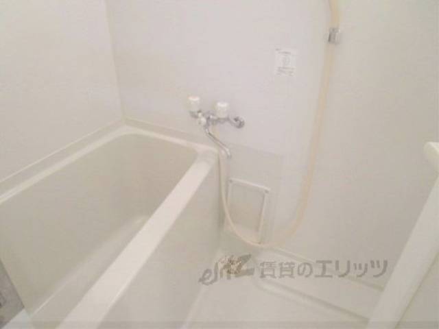 バス