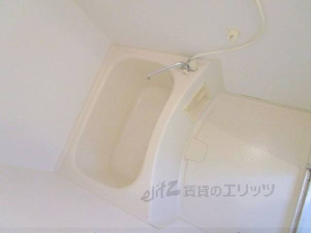 バス