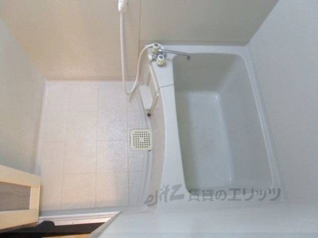 バス