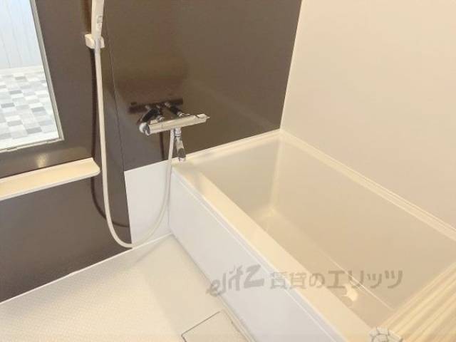 バス