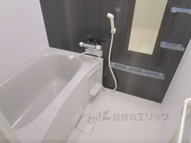バス