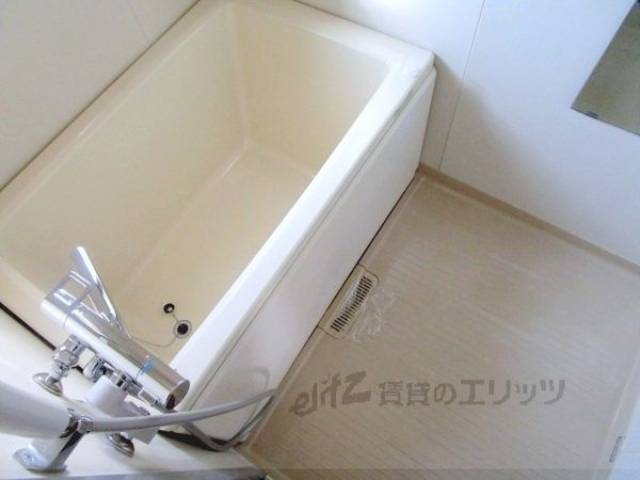 バス