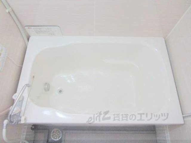 バス