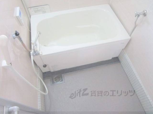 バス