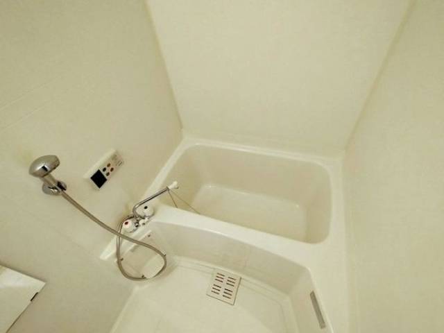 バス