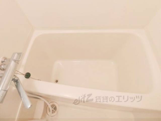 バス